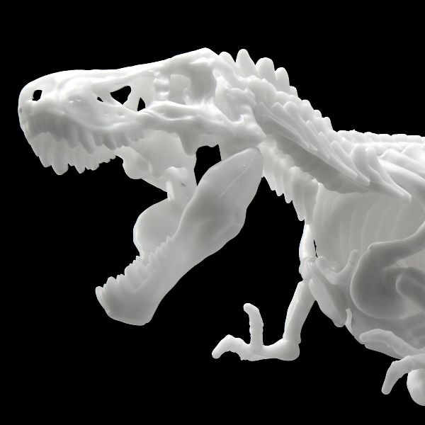 BANDAI LIMEX骨骼 恐龍組裝模型 暴龍 組裝模型 BANDAI,LIMEX骨骼,恐龍組裝模型,暴龍,組裝模型,