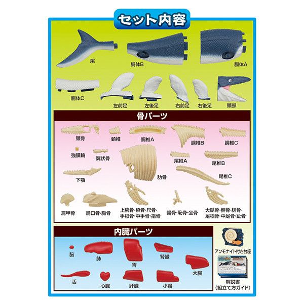 MegaHouse 自然科學系列 滄龍 趣味拼圖 MegaHouse,自然科學系列,滄龍,趣味拼圖,