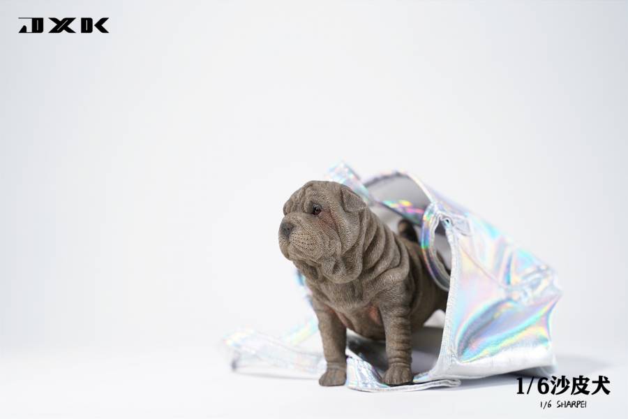 JXK 1/6 沙皮犬 動物系列 塗裝完成品 全4種 分別販售 JXK,1/6,沙皮犬,動物系列,塗裝完成品,全4種,分別販售,