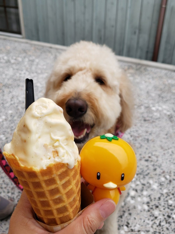 CAVICO MODELS 迷你模型 No.005 橘子河童 組裝模型 CAVICO MODELS,迷你模型 No.005,橘子河童