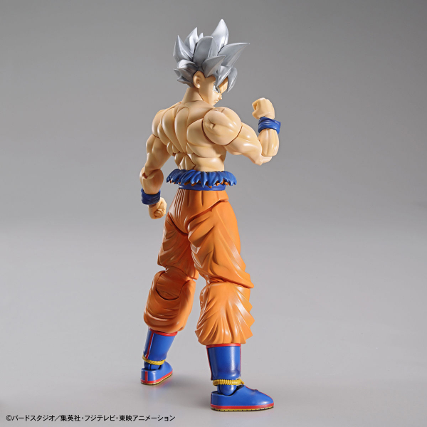 BANDAI Figure-rise Standard FRS 七龍珠 孫悟空 身勝手極意 自在極意功 組裝模型 BANDAI,Figure-rise,Standard,FRS,七龍珠,孫悟空,身勝手極意,自在極意,功,組裝模型,