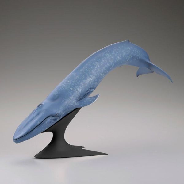 (預購) Kaiyodo 海洋堂 國立科學博物館 戶外展示 藍鯨 20261117 Kaiyodo 海洋堂 國立科學博物館 戶外展示 藍鯨