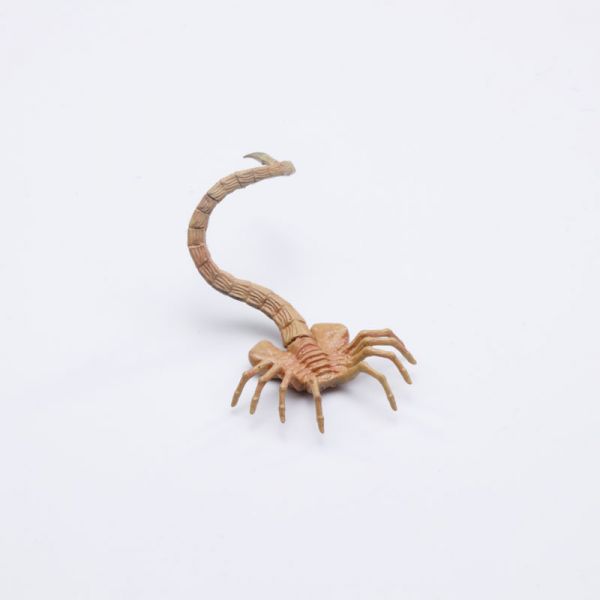 Hiya Toys 1/18 異形 異形卵＆異形幼蟲 Hiya Toys,1/18,異形,異形卵,＆,異形幼蟲,(,3個入,),