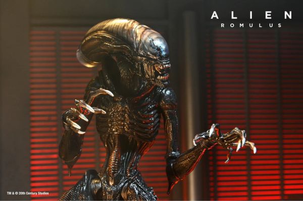 NECA 7吋 異形 羅穆路斯 灼傷異形 可動完成品 NECA 7吋 異形 羅穆路斯 灼傷異形 可動完成品