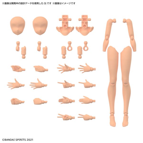 BANDAI 30MS OB-11 身體配件套組 手＆腳 顏色C 組裝模型 BANDAI,30MS,身體配件套組,手,＆,腳,顏色C,組裝模型,