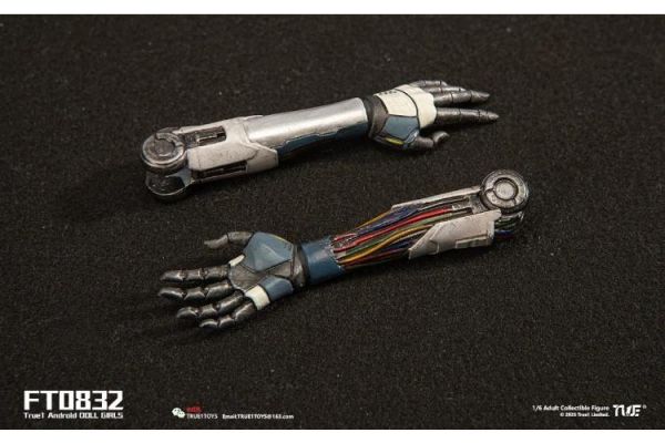 (預購) True1Toys 1/6 人造人Bill 黑髮版 FT0832 可動完成品 20260416 True1Toys 1/6 人造人Bill 黑髮版 FT0832 可動完成品