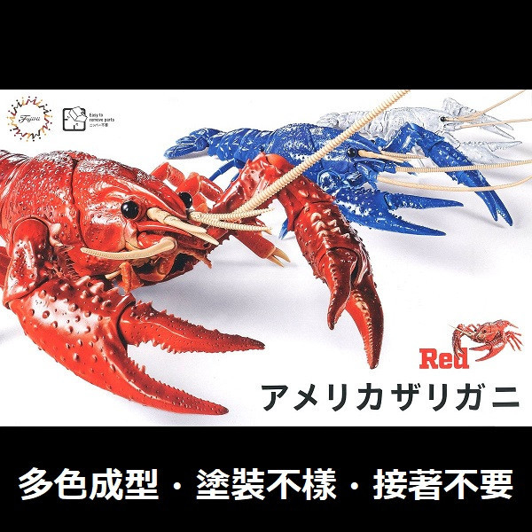 美國螯蝦 紅色 FUJIMI 自由研究24 生物編 富士美 組裝模型 FUJIMI,自由研究,生物,美國螯蝦,紅色,