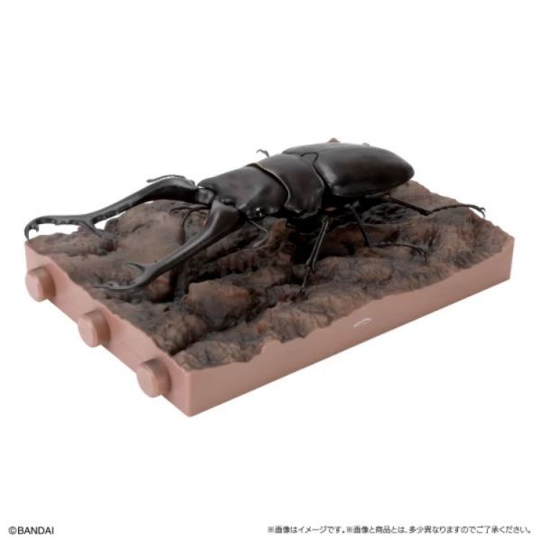 (預購) BANDAI 扭蛋 生物大圖鑑 鍬形蟲11 附樹皮底座(小) 全5種 隨機5入販售 20251031 (預購) BANDAI 扭蛋 生物大圖鑑 鍬形蟲11 附樹皮底座(小) 全5種 隨機5入販售 20251031