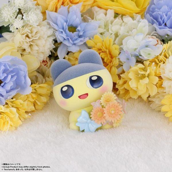 (預購) BANDAI Mofamofy 塔麻歌子 麻美吉 20260708 BANDAI Mofamofy 塔麻歌子 麻美吉