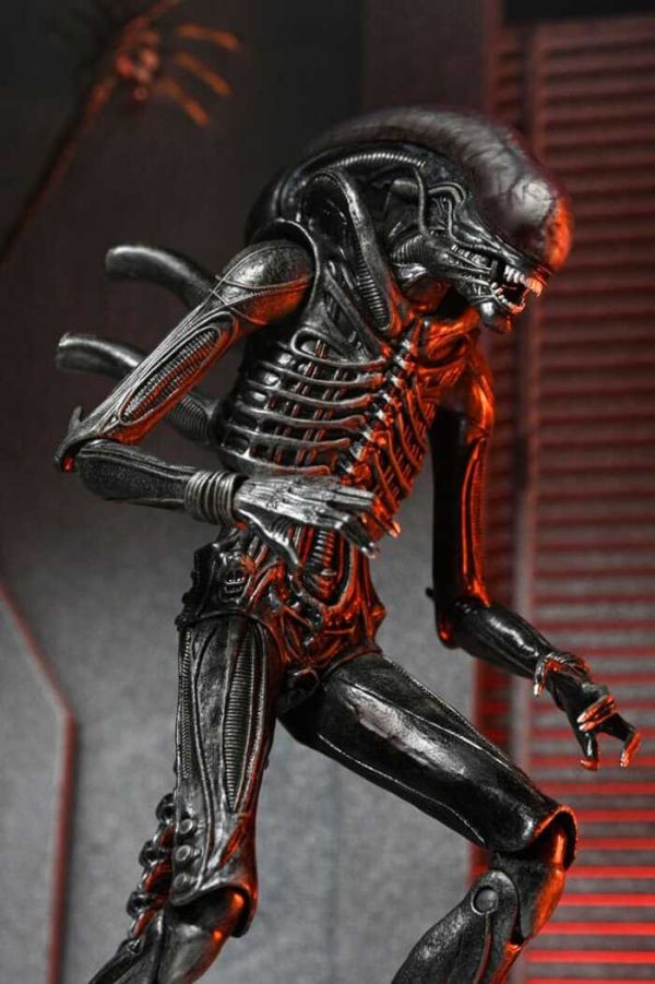NECA 異形:羅穆路斯 終極 異形 Xenomorph XX121 7吋 可動完成品 NECA 異形:羅穆路斯 終極 異形 Xenomorph XX121 7吋 可動完成品