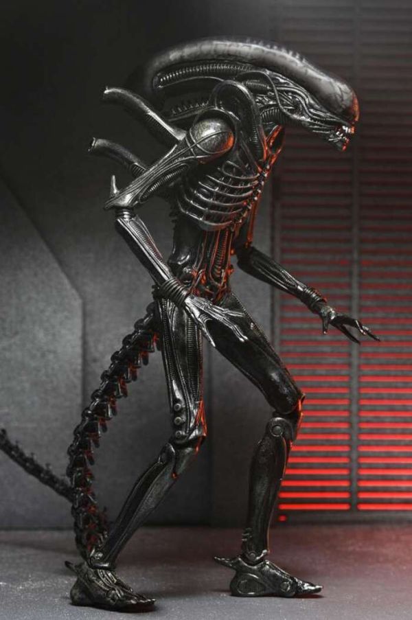 NECA 異形:羅穆路斯 終極 異形 Xenomorph XX121 7吋 可動完成品 NECA 異形:羅穆路斯 終極 異形 Xenomorph XX121 7吋 可動完成品