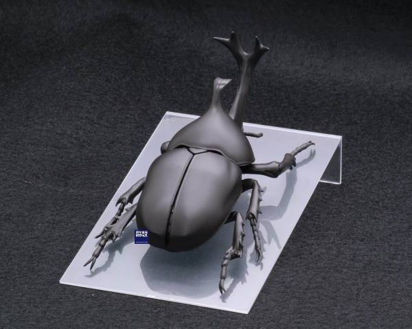 (預購) FUJIMI 富士美 自由研究 021 生物編 獨角仙 組裝模型 20250925 (預購) FUJIMI 富士美 自由研究 021 生物編 獨角仙 組裝模型 20250925