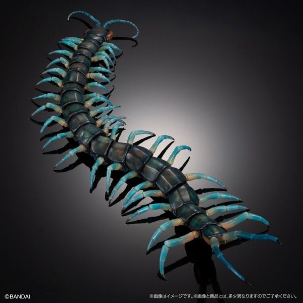 (預購) BANDAI 扭蛋 生物大圖鑑 琉神蜈蚣 BANDAI 扭蛋 生物大圖鑑 琉神蜈蚣