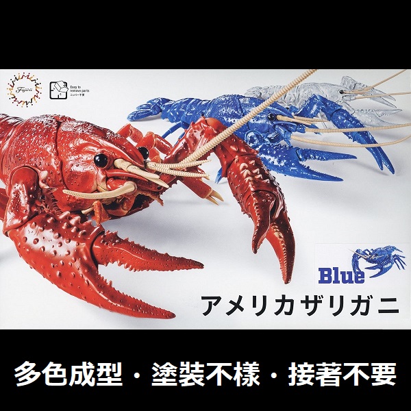 美國螯蝦 藍色 FUJIMI 自由研究24EX1 生物編 富士美 組裝模型 FUJIMI,自由研究,生物,美國螯蝦,藍色,