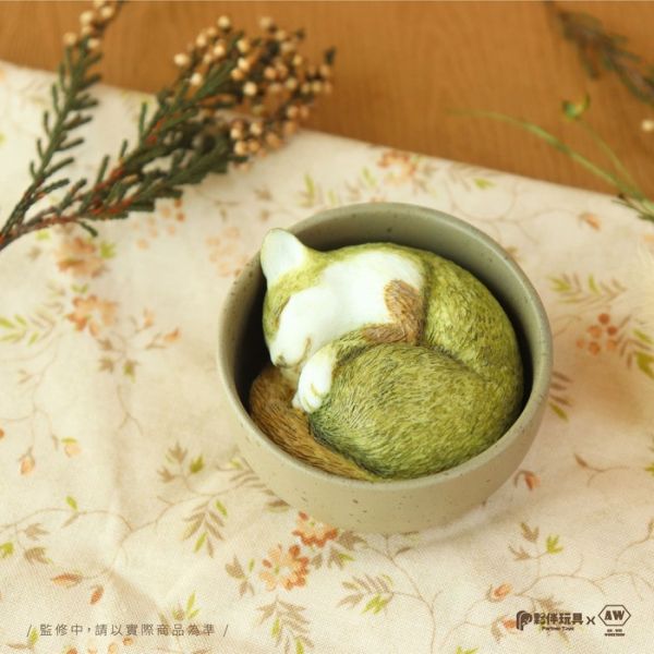 夥伴玩具 扭蛋 杯中生物-貓咪篇 全6種 隨機5入販售 夥伴玩具 扭蛋 杯中生物-貓咪篇 全6種 隨機5入販售