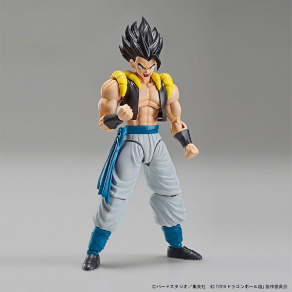 BANDAI Figure-rise Standard FRS 七龍珠 悟吉塔 超級賽亞人藍 悟達爾 組裝模型 BANDAI,Figure-rise,Standard,FRS,七龍珠,悟吉塔,超級賽亞人藍,悟達爾,組裝模型,