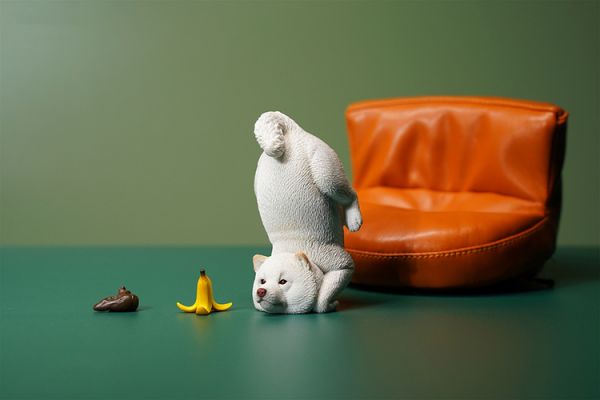 JXK 1/6 撲街柴犬 黑柴＆赤柴＆白柴 分別販售  JXK,1/6,撲街柴犬,黑柴,＆,赤柴,＆,白柴,分別販售, 