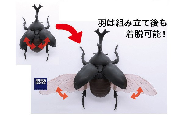 (預購) FUJIMI 富士美 自由研究 021 生物編 獨角仙 組裝模型 20250925 (預購) FUJIMI 富士美 自由研究 021 生物編 獨角仙 組裝模型 20250925