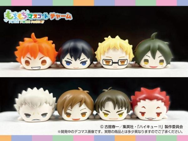 (預購) SK JAPAN 盲盒 mochi2 排球少年 趴娃公仔vol.1 全8種 一中盒8入販售 20261020 SK JAPAN 盲盒 mochi2 排球少年 趴娃公仔vol.1 全8種 一中盒8入販售