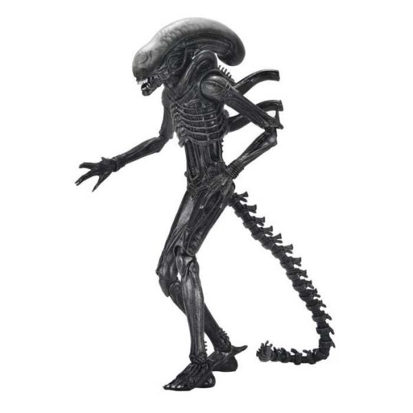 NECA 異形:羅穆路斯 終極 異形 Xenomorph XX121 7吋 可動完成品 NECA 異形:羅穆路斯 終極 異形 Xenomorph XX121 7吋 可動完成品