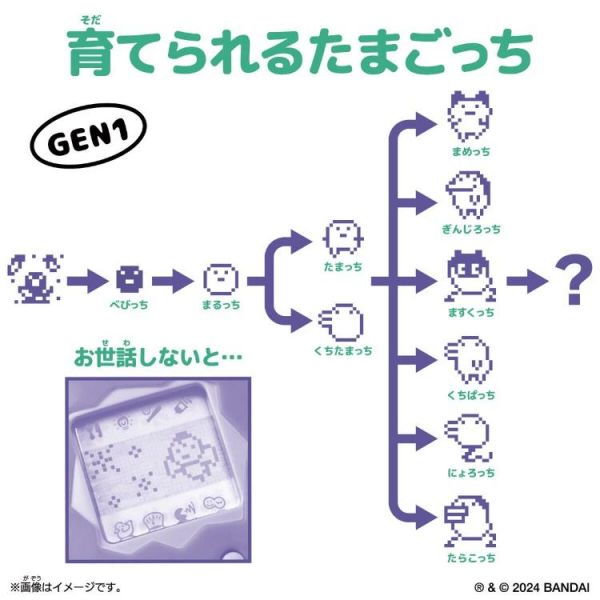 (預購) BANDAI 原創 塔麻歌子 金純蜂蜜 20260720 BANDAI 原創 塔麻歌子 金純蜂蜜