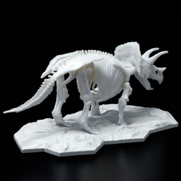 BANDAI LIMEX骨骼 恐龍組裝模型 三角龍 組裝模型 BANDAI,LIMEX骨骼,恐龍組裝模型,三角龍,組裝模型,