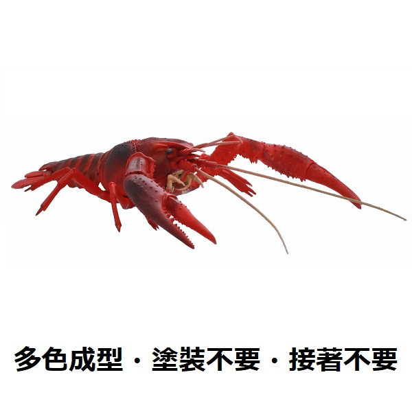 美國螯蝦 紅色 FUJIMI 自由研究24 生物編 富士美 組裝模型 FUJIMI,自由研究,生物,美國螯蝦,紅色,