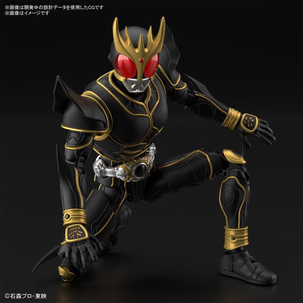 BANDAI Figure-rise Standard FRS 假面騎士  空我 究極空我 組裝模型 BANDAI Figure-rise Standard FRS 假面騎士  空我 究極空我 組裝模型