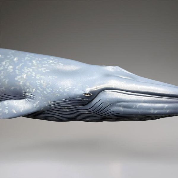 (預購) Kaiyodo 海洋堂 國立科學博物館 戶外展示 藍鯨 20261117 Kaiyodo 海洋堂 國立科學博物館 戶外展示 藍鯨