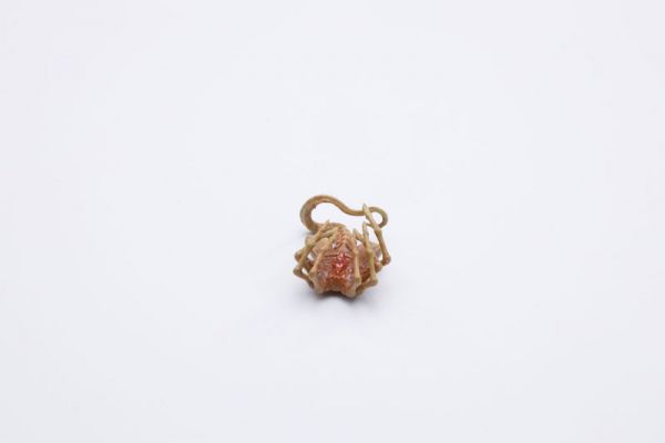 Hiya Toys 1/18 異形2 異形卵＆異形幼蟲  Hiya Toys.1/18,異形2,異形卵,＆,異形幼蟲, 