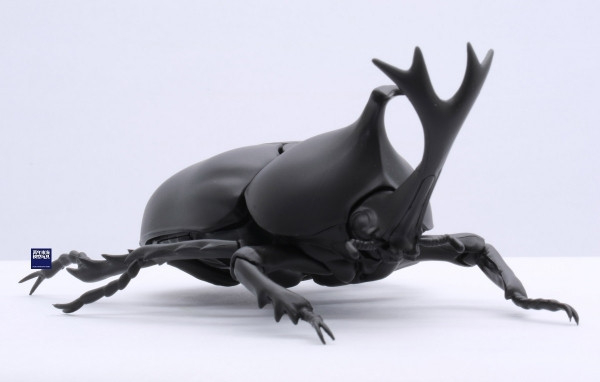 (預購) FUJIMI 富士美 自由研究 021 生物編 獨角仙 組裝模型 20250925 (預購) FUJIMI 富士美 自由研究 021 生物編 獨角仙 組裝模型 20250925