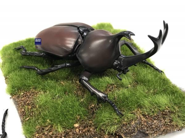 (預購) FUJIMI 富士美 自由研究 021 生物編 獨角仙 組裝模型 20250925 (預購) FUJIMI 富士美 自由研究 021 生物編 獨角仙 組裝模型 20250925