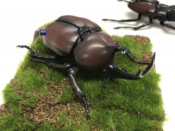 (預購) FUJIMI 富士美 自由研究 021 生物編 獨角仙 組裝模型 20250925 (預購) FUJIMI 富士美 自由研究 021 生物編 獨角仙 組裝模型 20250925