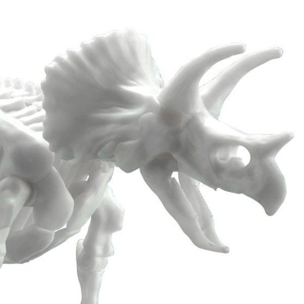 BANDAI LIMEX骨骼 恐龍組裝模型 三角龍 組裝模型 BANDAI,LIMEX骨骼,恐龍組裝模型,三角龍,組裝模型,