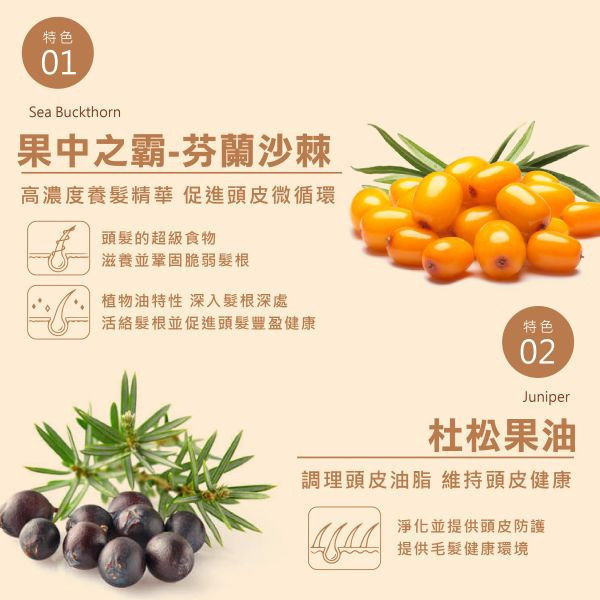 【新年養髮囤貨價】賦活豐盈小黑瓶30ml*4瓶 強健髮根,再現豐盈,解壓舒緩,極濃養髮精華,
活化頭皮,瑞迪波兒,居家養髮SPA