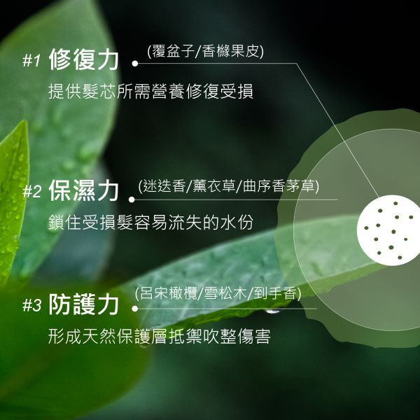【受損髮維他命】毛躁藍精靈護髮精華油 50mlX2 柔順保濕,植萃精油