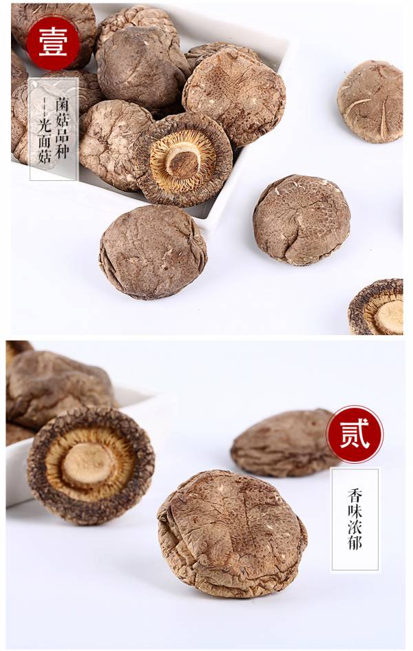 大香菇 菇姑真美味
