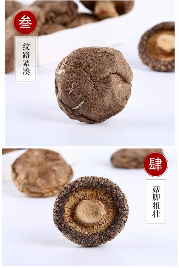 香菇 菇姑真美味