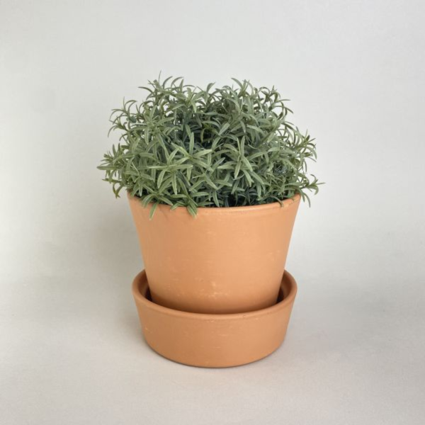 陶製小花盆附底盤 