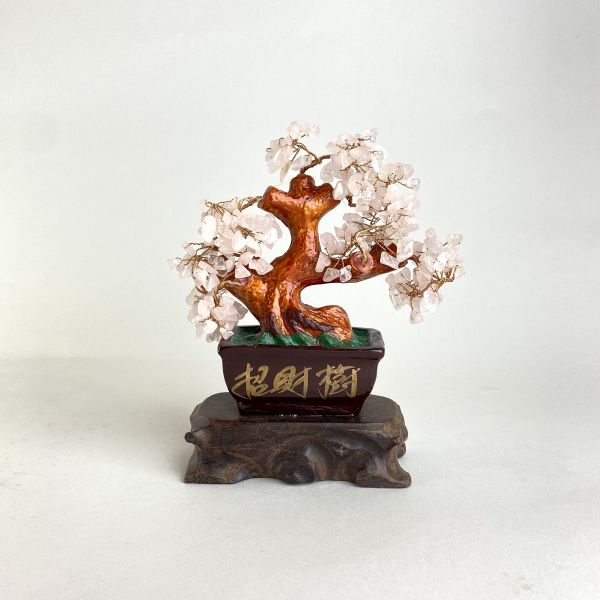 招財樹 