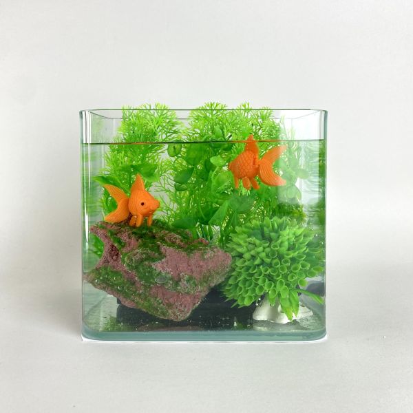 魚缸 