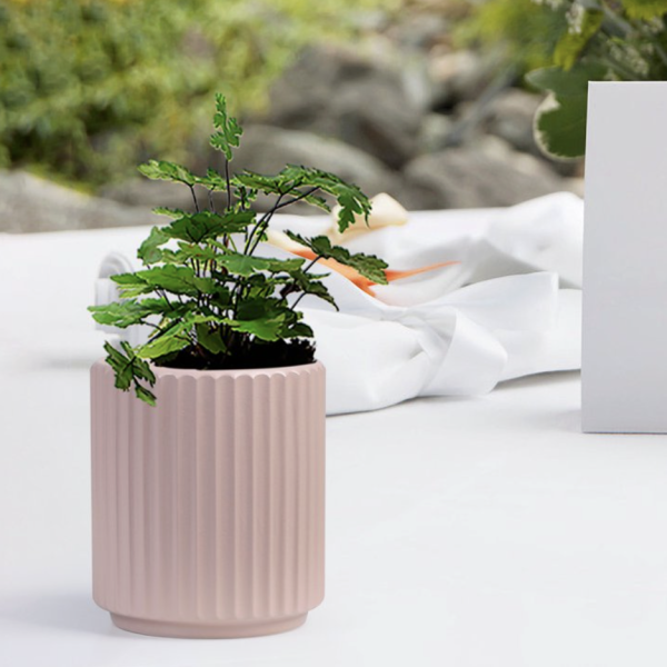 淺粉色直紋小花盆 