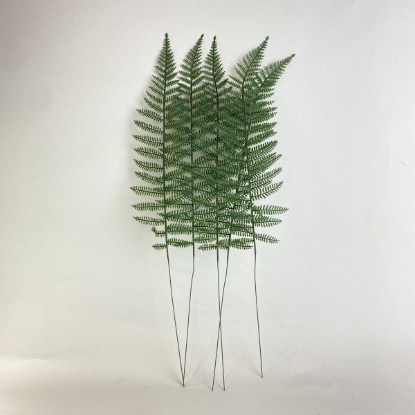 人造蕨類 