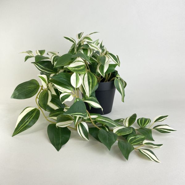 人造吊竹草 