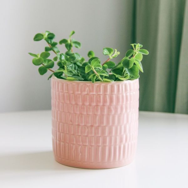 粉色格紋陶瓷小花盆 