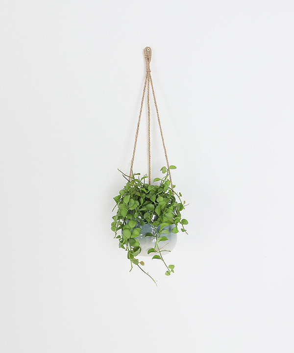 藍漸層陶瓷吊掛花盆 