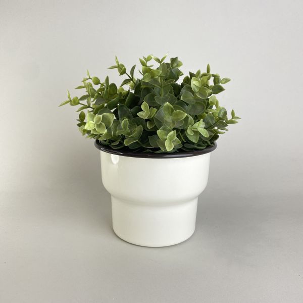 白色黑邊盆器 