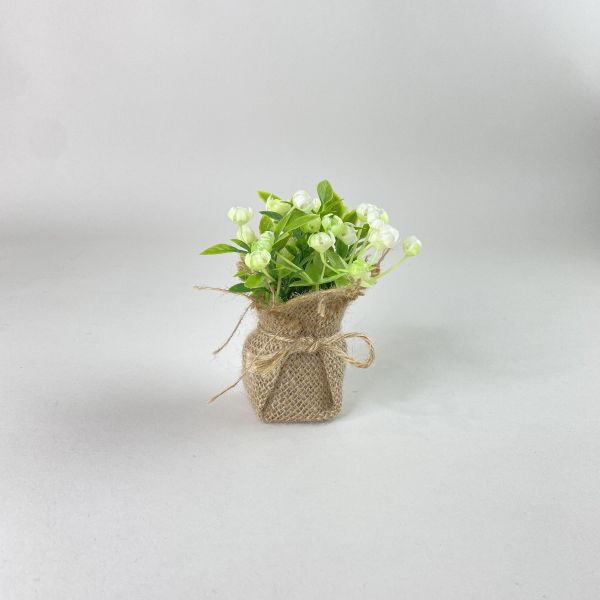 麻袋迷你小盆栽 