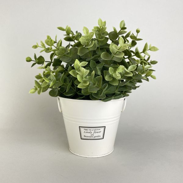 米白金屬盆器 