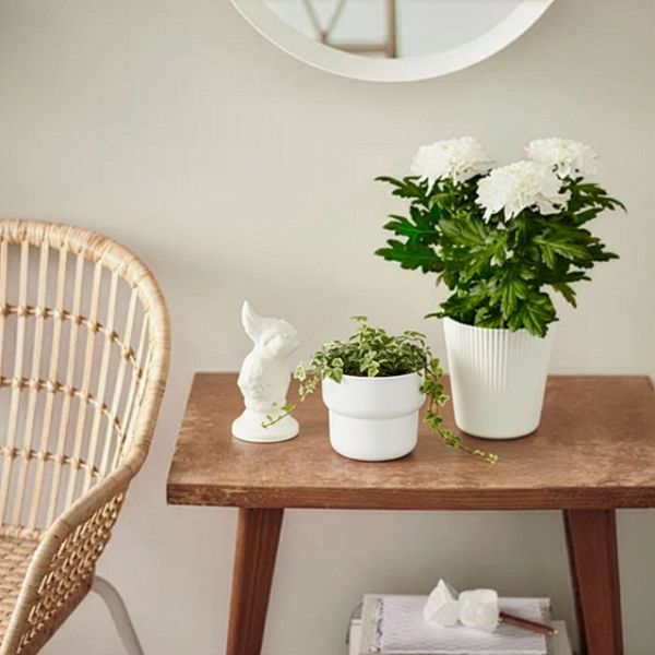 白色塑料花盆 | 多款 